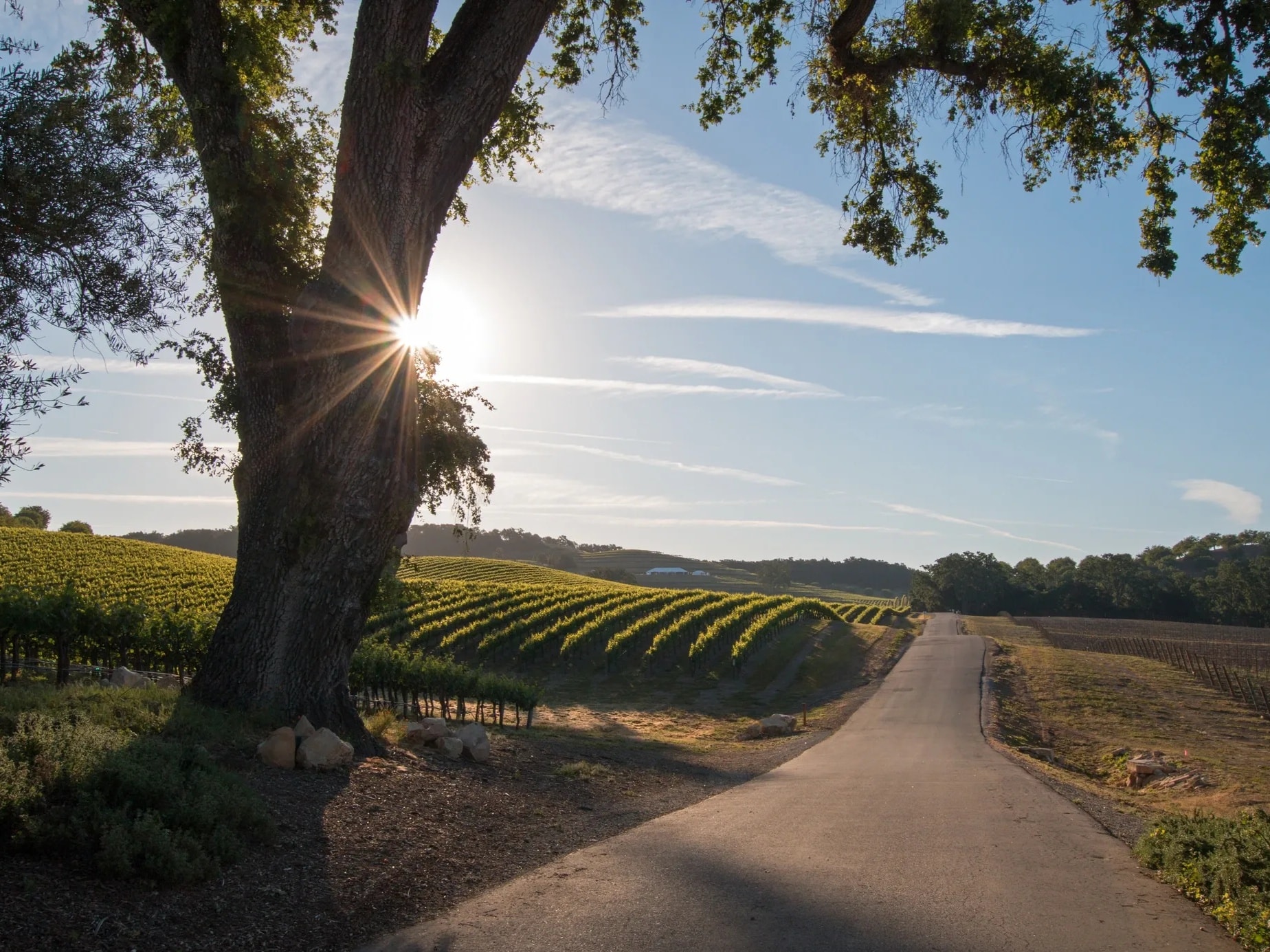 Wine country tour Southern California